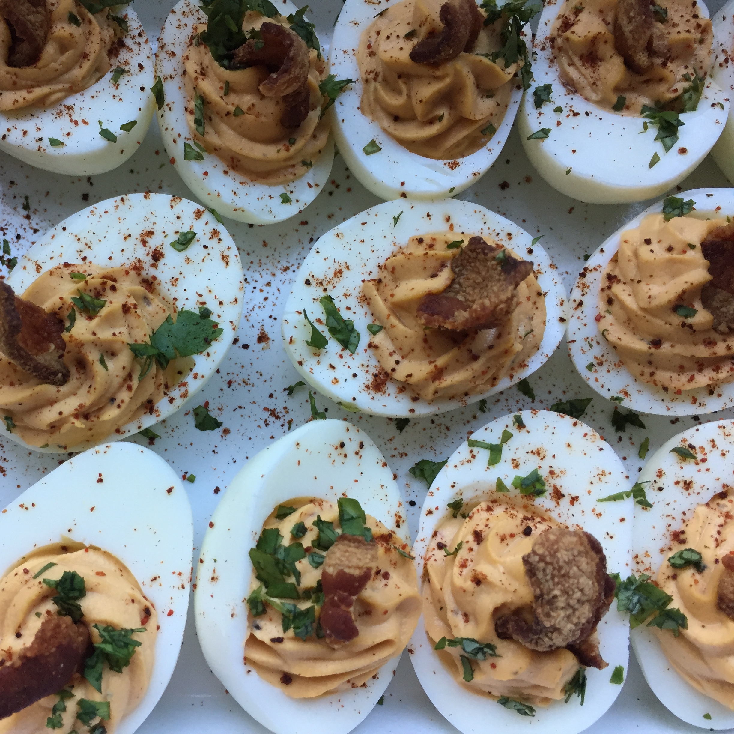 Explore 8.2.0 | VBGB Beer Garden, Charlotte, NC Uptown